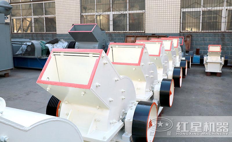 锤式荔枝视频色版在线观看